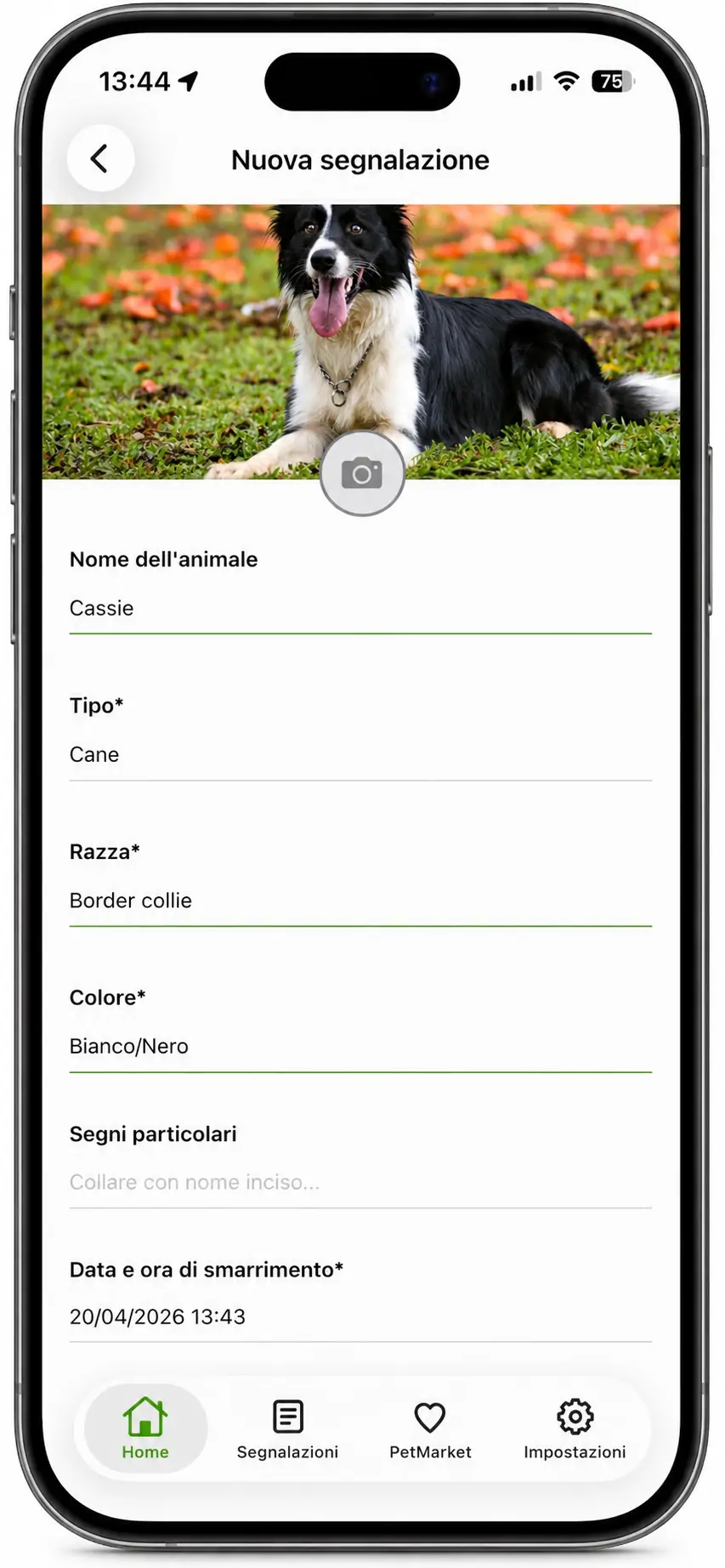Zamity app report screen.