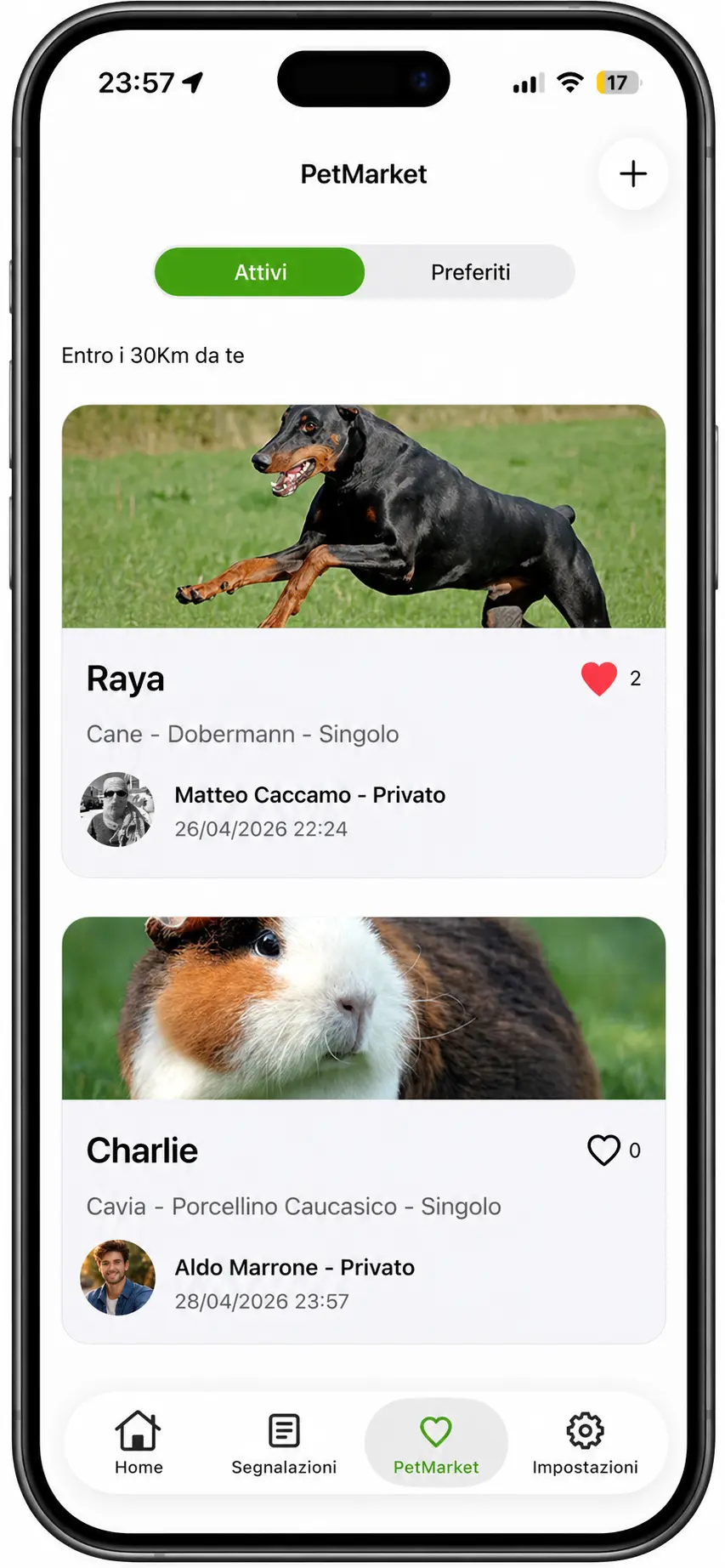 Zamity app PetMarket feed screen.